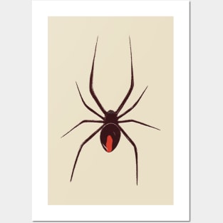Redback Spider Posters and Art